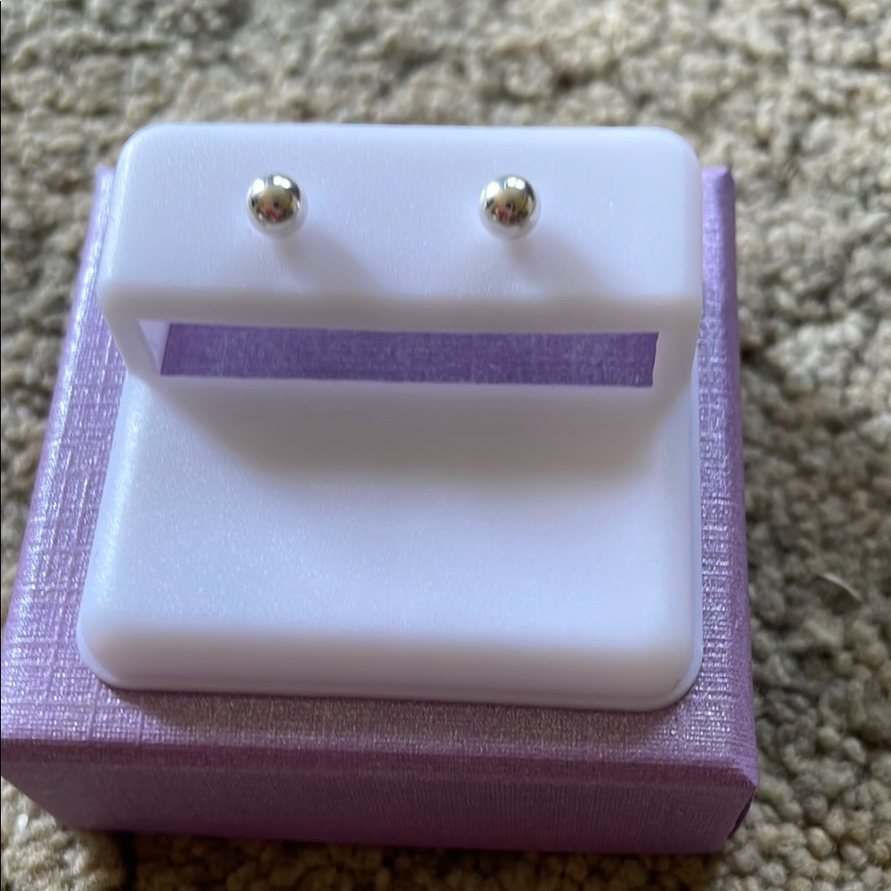 Elegant Silver Stud Earrings